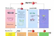 小学补贴申请全攻略，从条件到流程，助您顺利为孩子申领教育补助