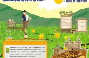 农村养蜂申请补贴政策全解析，助力乡村振兴，甜蜜事业再升级